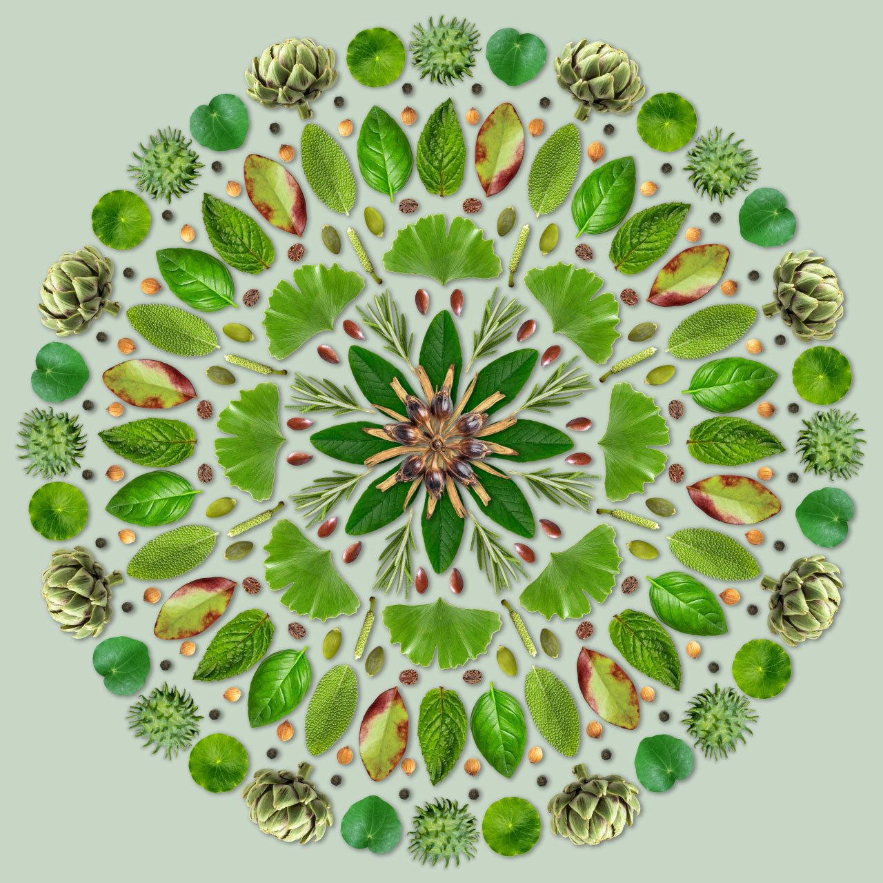 mandala-health-potential-christchurch-nz